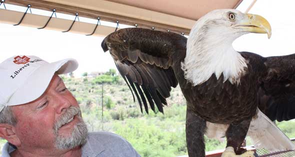 Bald Eagle & Wildlife Tours
