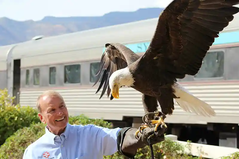 Liberty Wildlife Eagle Raptors Verde Canyon Railroad Depot