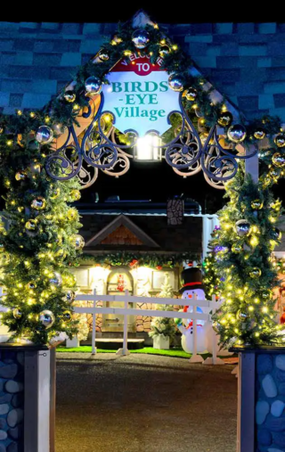 Magical Christmas Journey Birds Eye Village Entrance